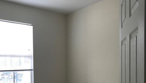 141 E Thatch Palm Cir