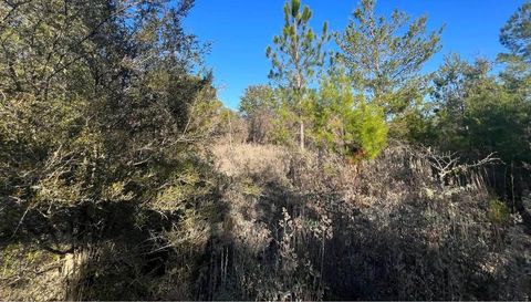 0 Cardinal Ave Lot 16