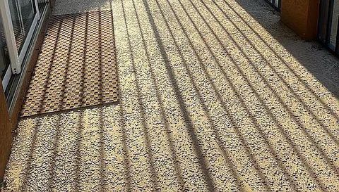 12459 Muddy Creek Ln