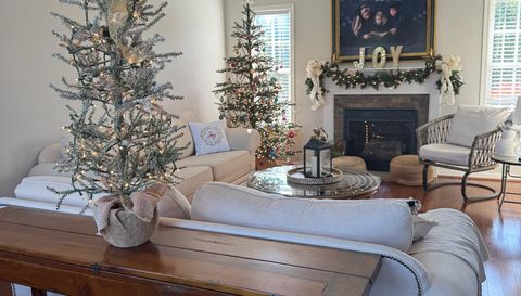 251 Carriage Trace Ln