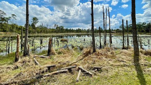 349 SEMINOLE WOODS BLVD