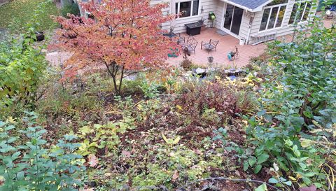 5833 Creek Valley Rd