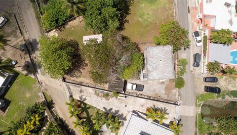 425 BRAVOS DE BOSTON