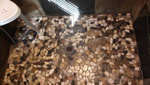 529 Toccoa Preserve Lane