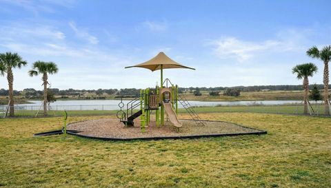 2980 Angelonia Thorn Way