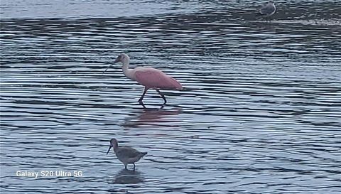 360 GULF OF MEXICO DRIVE