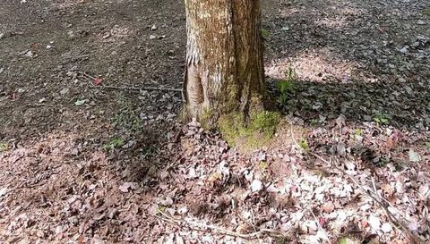 0 Trillium Heights Terrace