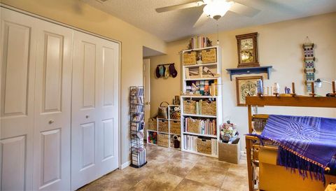752 White Pine Tree