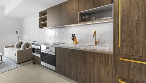 159 NE 6th St Penthouse 5008