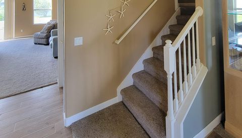 3145 Twisted Oak Loop