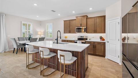 32516 OSPREY PEAK WAY