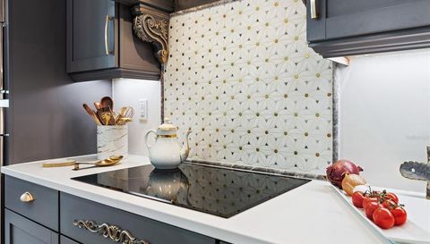 241 CONSERVATORY DRIVE