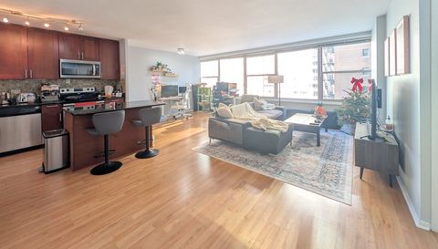 3900 N Lake Shore Drive