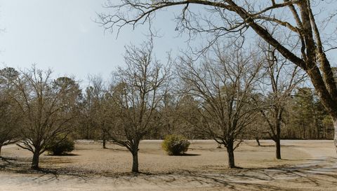 11161 State Highway 74