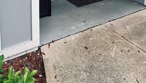 709 SECRET HARBOR LANE