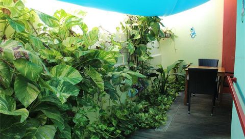 17 Calle Carlos Lebrun