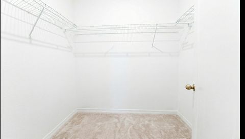 2980 Angelonia Thorn Way