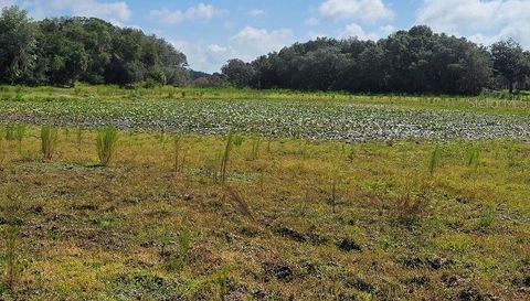 4031 Old Floral City