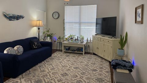 5602 Pinnacle Heights Cir APT 312