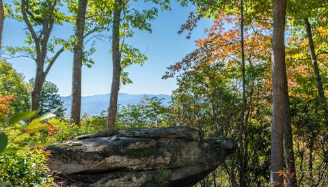 99999 Mountain Grove Ln.