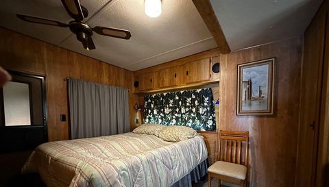 10843 Bonapartes Gull SE