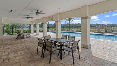 10037 AUSTRINA OAK