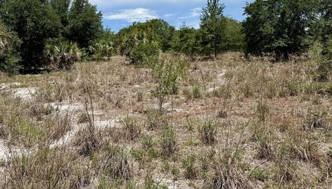 1701 Cabbage Wood Rd Okeechobee