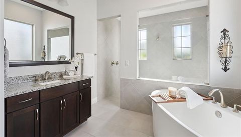 671 CANOPY ESTATES DRIVE