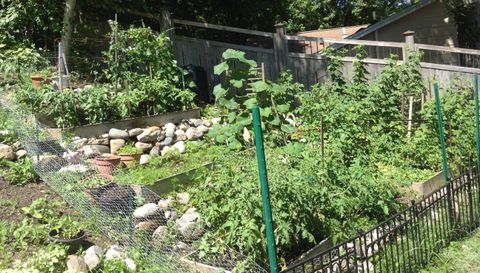 5833 Creek Valley Rd