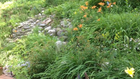 5833 Creek Valley Rd