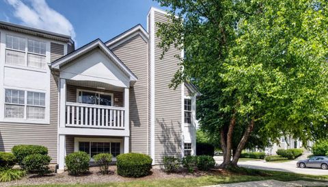 543 Silver Leaf Dr