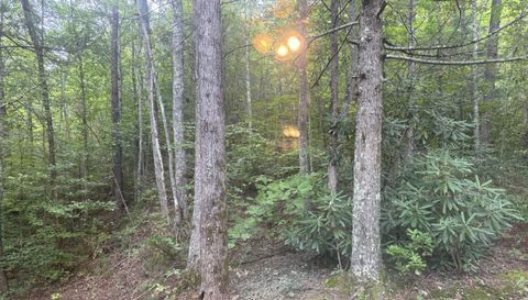 5475 Otto Williams Rd