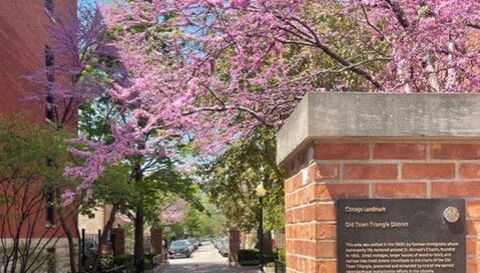 1824 N Lincoln Park West