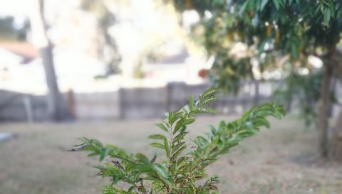 5398 Oxford Manor Cir