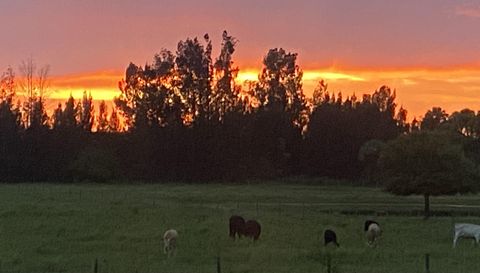 1071 S Header Canal Rd