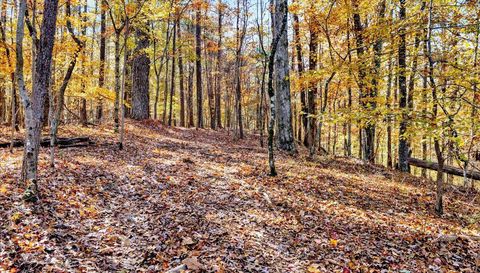 0 Hammock Rd Trussville