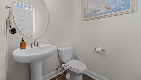 35 N Cinnamon Teal Dr