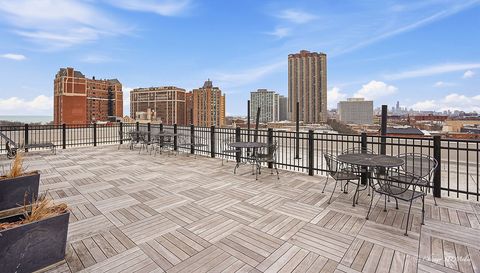 3900 N Pine Grove Avenue