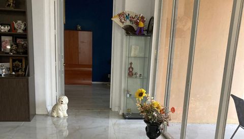 10591 SW Katrina Way