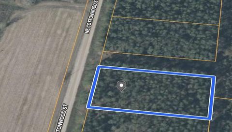 0 NE Cottonwood Street LEE FL 32059