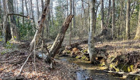 95 Mountain Overlook Dr