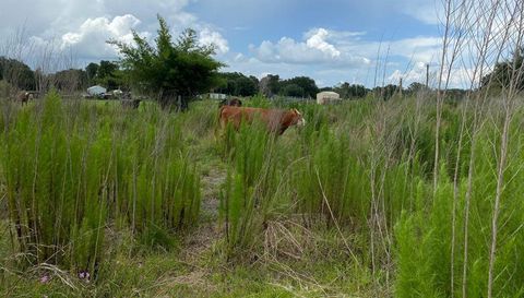 5187 GREENFIELDS RUN