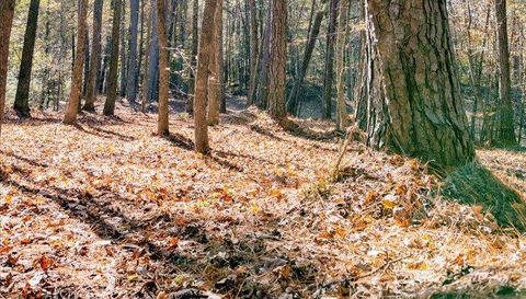 0 Hammock Rd Trussville