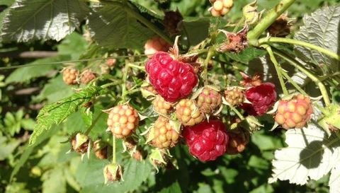 5833 Creek Valley Rd