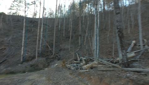 371 Pressmens Home Rd