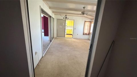 339 PINE TREE ROAD