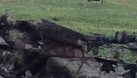 4031 Old Floral City