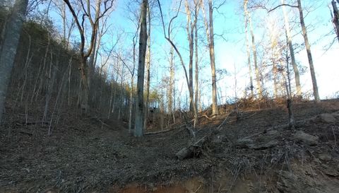 371 Pressmens Home Rd