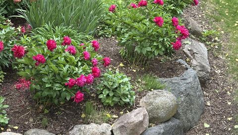 1912 Linner Woods Court