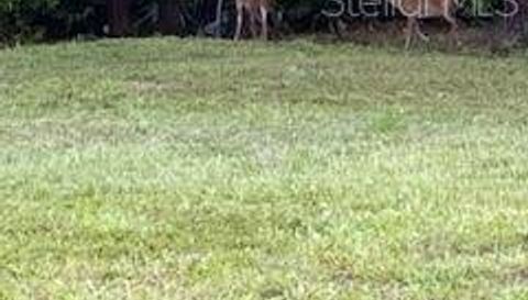 490 Saint Regis Grade